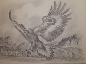 A Young Eagles First Kill